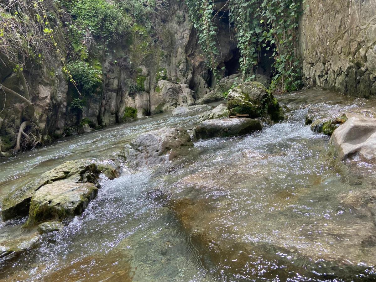 Hostal Rural De Cuadros Bedmar y Garciez エクステリア 写真
