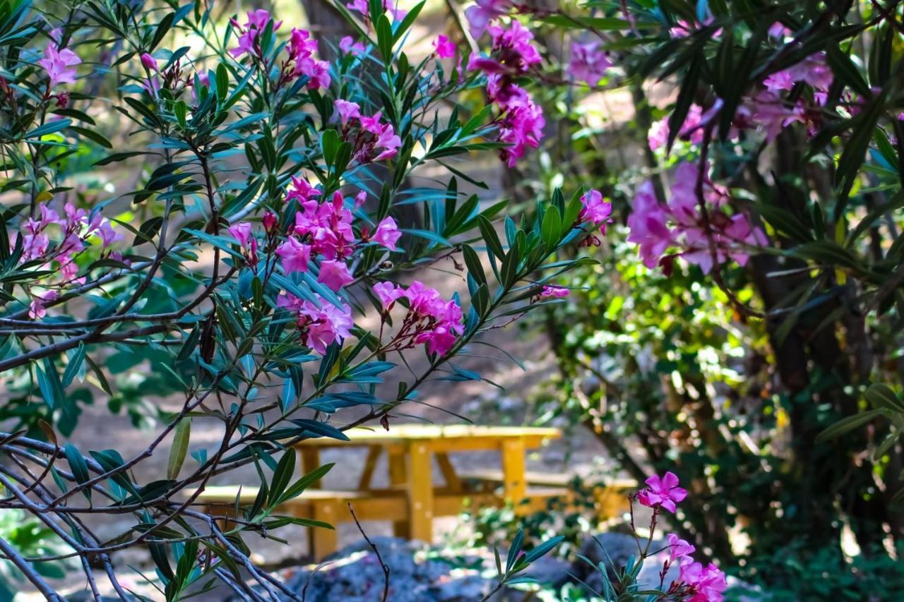 Hostal Rural De Cuadros Bedmar y Garciez エクステリア 写真