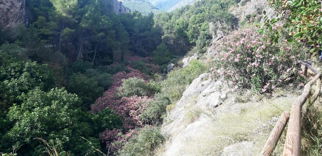 Hostal Rural De Cuadros Bedmar y Garciez エクステリア 写真